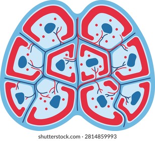 Diagram of tissue cell structure and cellular organization with cellular structure microscope organism membrane cytology biomedical microscopic research development pathology division