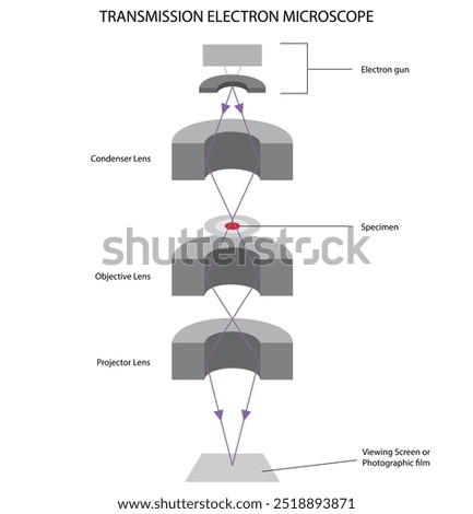 Diagram of the Transmission electron microscope