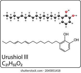 Diagram Of The Urushiol Molecule