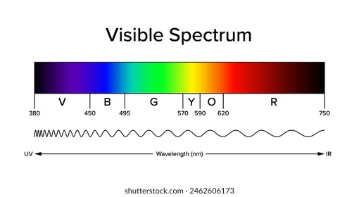 Diagram of the visible spectrum, band of electromagnetic spectrum, visible to the human eye. Light can produce spectral colors, a narrow band of wavelengths. Approximate and schematic illustration.