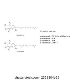 Diagram of Vitamin E vitamers - Tocopherol and Tocotrienol skeletal structure, chemical diagram.