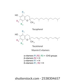 Diagrama de vitaminas de la vitamina E: estructura esquelética de tocoferol y tocotrienol, diagrama químico.