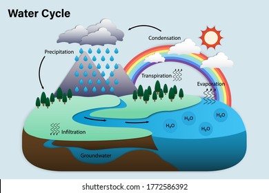 Diagram of Water cycle, Hydrologic cycle, Biogeochemical cycle for education chart