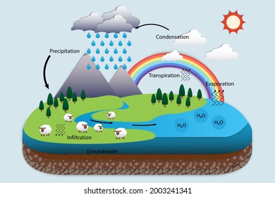 Diagram Of Water Cycle, Hydrologic Cycle, Biogeochemical Cycle For Education Chart, Soil Layers And Nature On The Earth