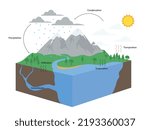 Diagram of Water Cycle in nature illustration