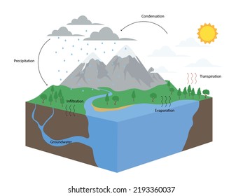 Diagram Water Cycle Nature Illustration Stock Vector (Royalty Free ...