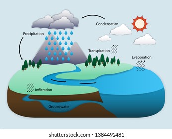 Diagram of Water Cycle in nature, vector illustration eps10