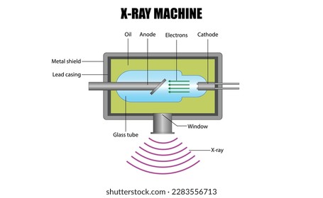 Diagram of the X-ray machine