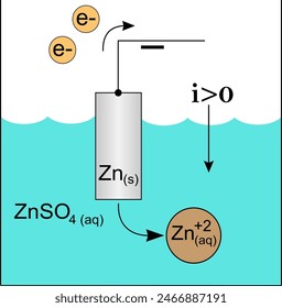 Diagram of a zinc anode in a galvanic cell. Vector illustration