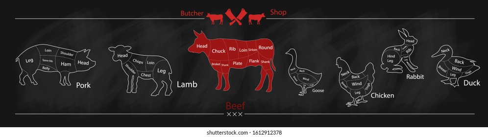 Diagrams for butcher shop. Animal silhouette, beef and cow, duck and goose, pork,lamb,rabbit ,chicken.Vector illustration.