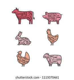 Diagrams for butcher shop. Meat cuts. Animal silhouette, pig, cow, lamb, chicken, turkey, rabbit. Vector illustration.