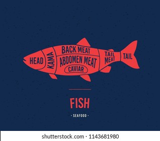 Diagrams for the fish. Vector illustration.