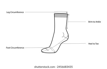 Diagramme der Sockenmaße mit Textnamen. Strumpfwaren Mode Accessoire Bekleidung technische Illustration Strumpf. Vektorgrafik vorne, Seitenansicht für Herren, Damen, Unisex-Stil, flache Vorlage CAD Mockup Skizze