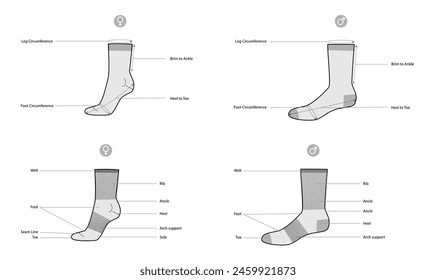 Diagrams of sock parts and measurements with text names. Hosiery Fashion accessory clothing technical illustration stocking. Vector side view for Men, women, unisex style, flat template mockup sketch