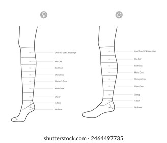 Diagramas de longitud de calcetines con nombres de texto. Calcetería Moda accesorio ropa técnica ilustración media. Vista lateral de Vector para hombres, mujeres, estilo unisex, contorno de maqueta CAD de Plantilla plana aislado