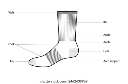 Diagrams of socks parts with text names. Hosiery Fashion accessory clothing technical illustration. Vector side view for Men style, flat template CAD mockup sketch outline isolated on white background