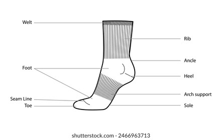 Diagramme von Sportsockenteilen mit Textnamen. Strumpfwaren Mode Accessoire Bekleidung technische Illustration Strumpf. Vektorgrafik Seitenansicht für Damen Stil, flache Vorlage CAD Mockup Skizze isoliert