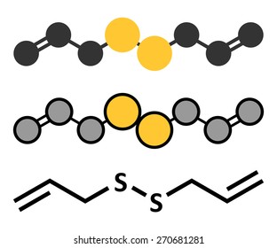Diallyl disulfide garlic molecule. One of the compounds responsible for taste, smell and health effects of garlic. Stylized 2D renderings and conventional skeletal formula.