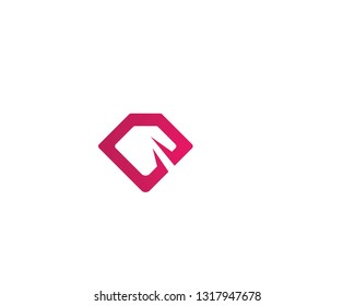 Diamond Logo Template