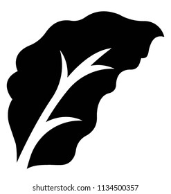 
Diamond shaped leave with corners and veins offering redhaw hawthorn icon
