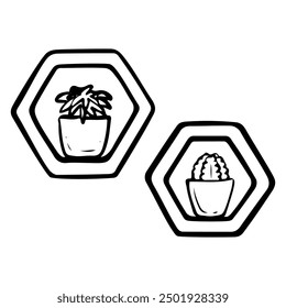 Diamond shaped shelves with potted succulents hand drawn doodle. Wall decorations. Home interior design. Vector outline line art illustration.