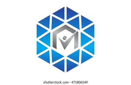 Diamond Success logo template isolated