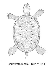 Diamondback Terrapin turtle outline. Black and white vector illustration. Top view, Isolated turtle on white background