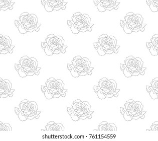 Dianthus caryophyllus - Carnation Flower, Clove Pink. National flower of Spain, Monaco, and Slovenia on White Background. Vector Illustration. 