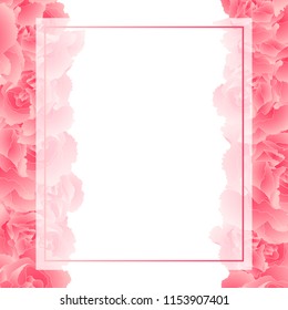 Dianthus caryophyllus - Pink Carnation Flower Banner Card Border. Vector Illustration. 