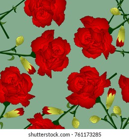 Dianthus Caryophyllus - Red Carnation Flower On Green Background. Vector Illustration. 