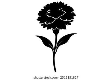 Dianthus Flower Silhueta ilustração vetorial sobre fundo branco.