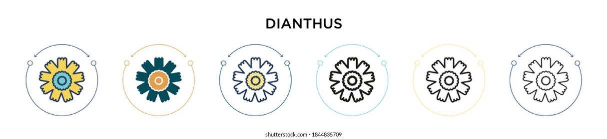 Dianthus icon in filled, thin line, outline and stroke style. Vector illustration of two colored and black dianthus vector icons designs can be used for mobile, ui, web