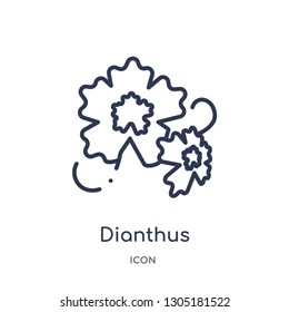 dianthus icon from nature outline collection. Thin line dianthus icon isolated on white background.