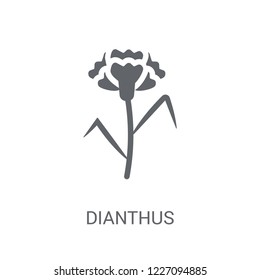Dianthus icon. Trendy Dianthus logo concept on white background from Nature collection. Suitable for use on web apps, mobile apps and print media.