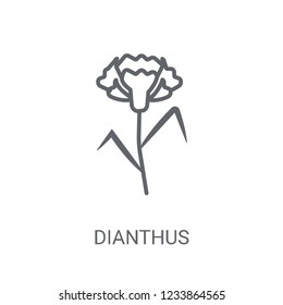 Dianthus icon. Trendy Dianthus logo concept on white background from Nature collection. Suitable for use on web apps, mobile apps and print media.