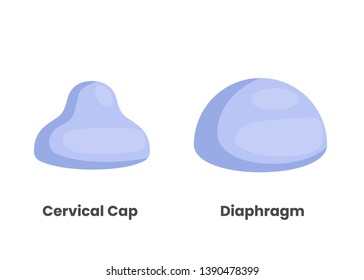 Diaphragm And Cervical Cap Illustration