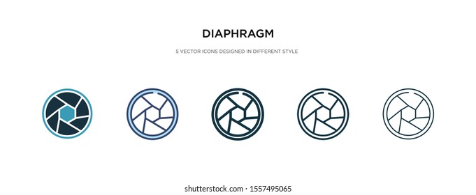 diaphragm icon in different style vector illustration. two colored and black diaphragm vector icons designed in filled, outline, line and stroke style can be used for web, mobile, ui