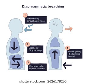 A respiração diafragmática mostra fluxo de ar, expansão pulmonar e movimento da barriga para explicar a técnica de respiração profunda. Desenhar diagrama de estilo