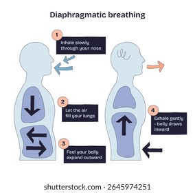 Diaphragmatic breathing shows airflow, lung expansion, and belly movement to explain deep breathing technique. Doodle style diagram