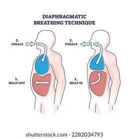 Diaphragmatic breathing technique with inhale and exhale outline diagram. Labeled educational scheme with anatomical lung and belly movement or position vector illustration. Respiratory flow practice
