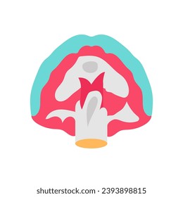 Diaphragmatic Muscle icon in vector. Logotype