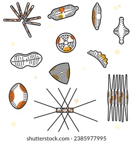 Diatoms are single-celled microalgae that live in houses made of glass. They are the only organism on the planet with cell walls composed of transparent, opaline silica.