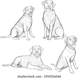 Dibujo de 4 perritos en linea, perritos felices