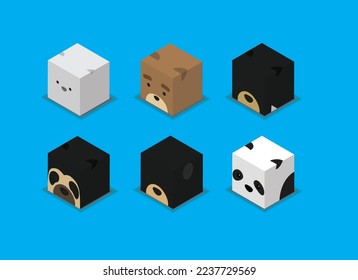 Marcador Caja de dados 3D Carácter Bears Animal Set Cartoon Vector