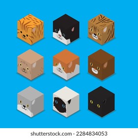 Dice Box 3D Character Pet Cats Animal Set Cartoon Vector