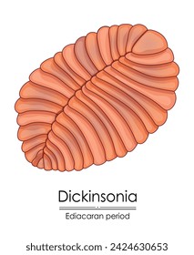 Dickinsonia, an Ediacaran period creature, colorful illustration on a white background, representing early life on Earth.