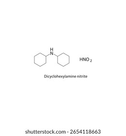 Estrutura esquelética de nitrito de diciclohexilamina. ilustração esquemática do composto de sal de amina. Diagrama simples, fórmula química.