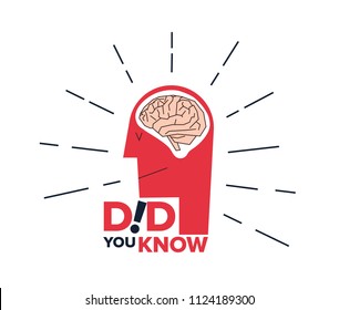 Did You Know Illustration. Vector illustration of a person and human brains