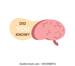 Did you know question and curiosity, trivia and quiz concept, vector illustration about a brain, idea and knowledge concept, isolated on white background.