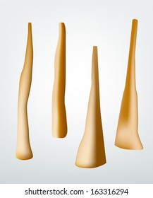 Didgeridoo set. 